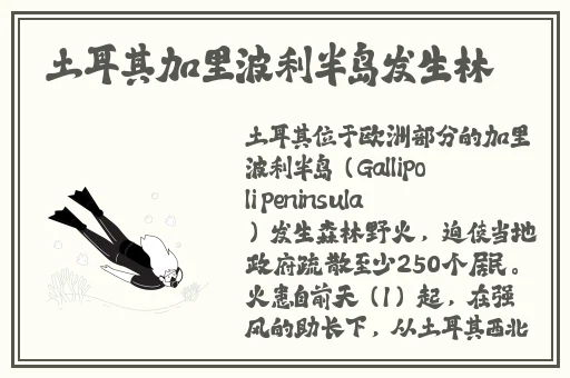 坤巴塞洞小游戏